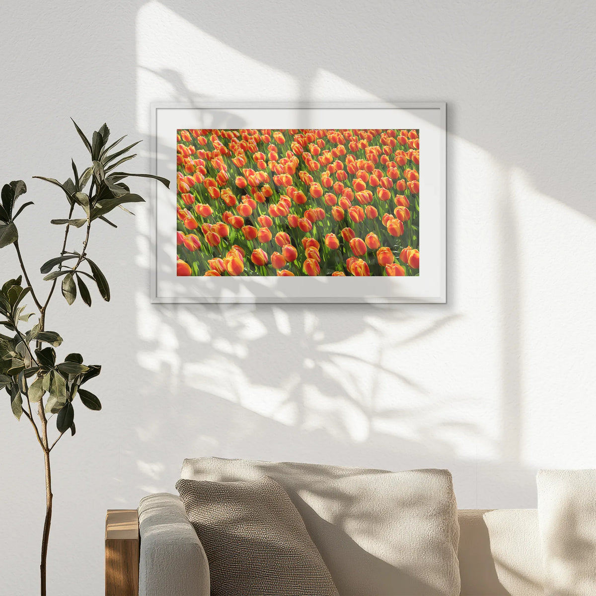 PWP093W062