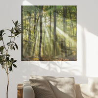 PO-080W080
