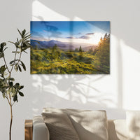 AC-075W050