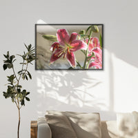 LWB120W080