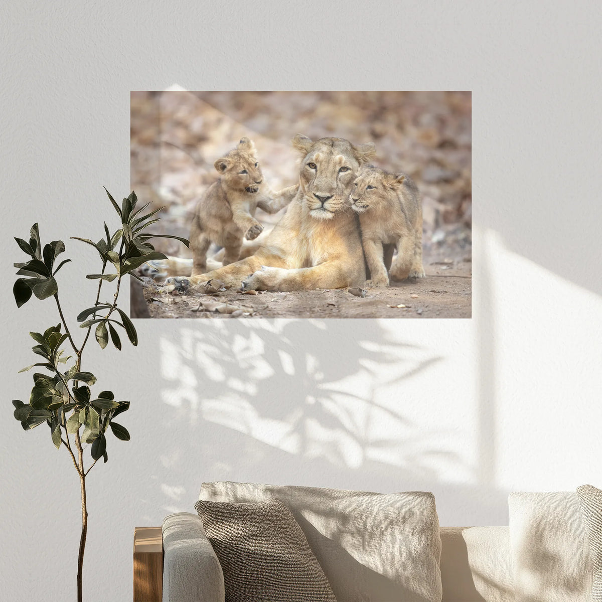 PO-120W080