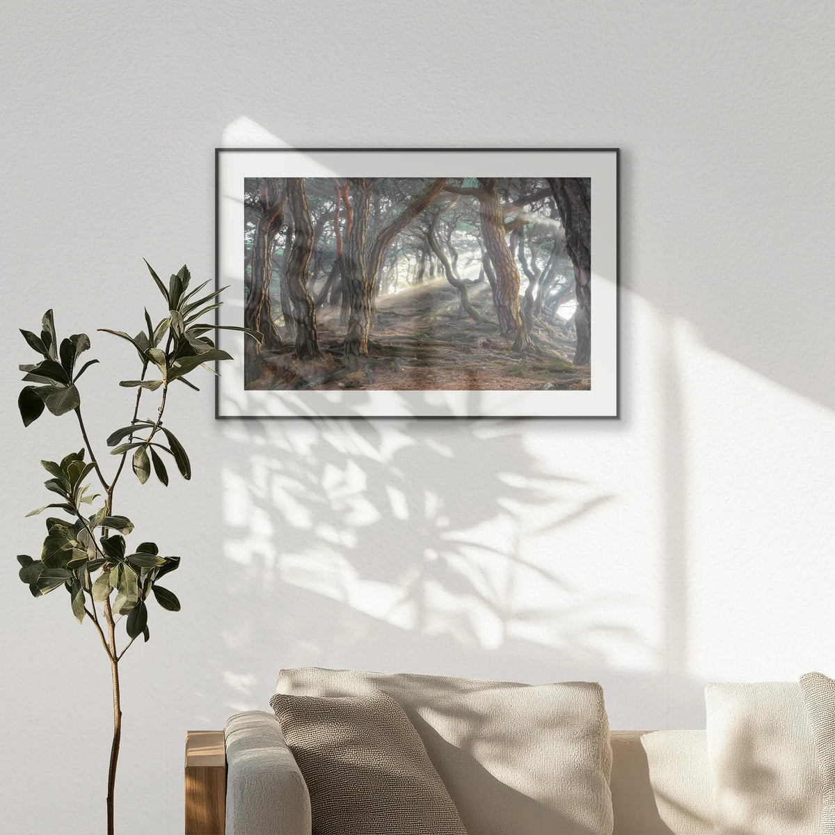 PBP120W080