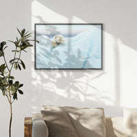 PK-093W062