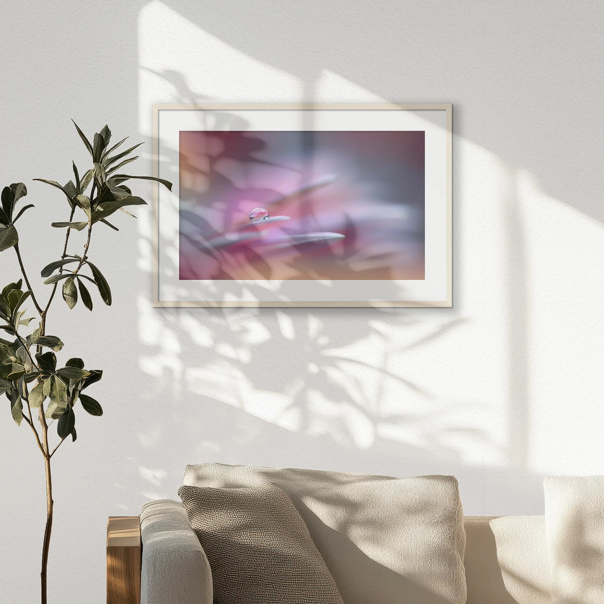PNP093W062