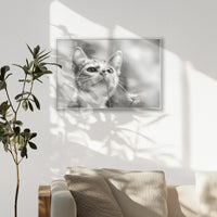 PS-093W062