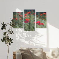 AL-120T080