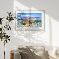 PNP093W062