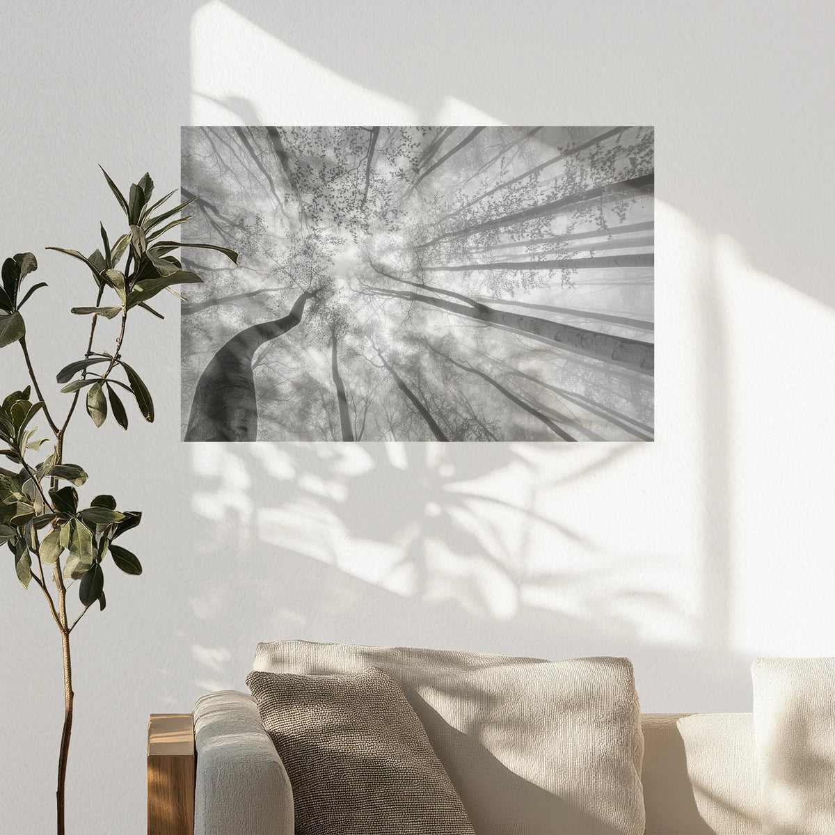 PO-075W050