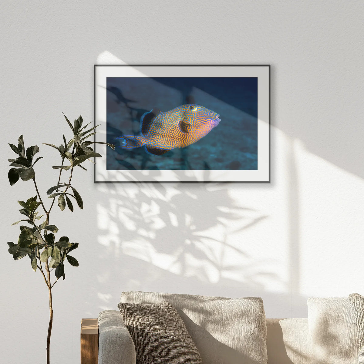 PBP100W070
