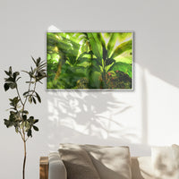 LWW120W080