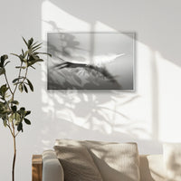 PS-093W062