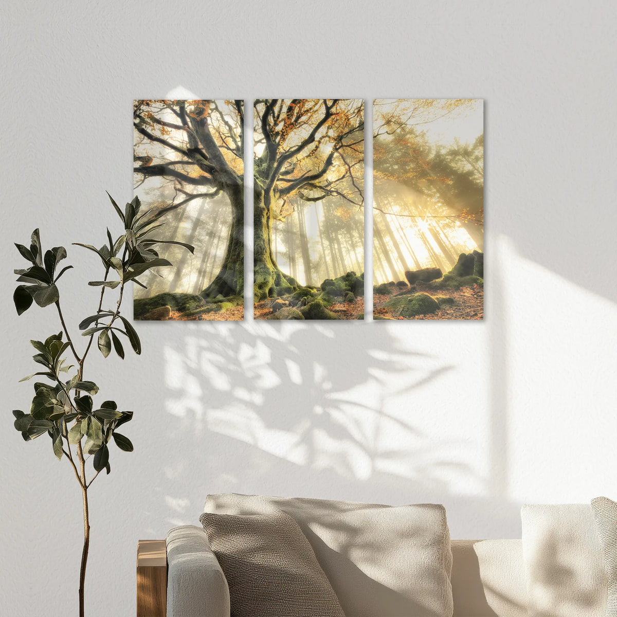 AC-120R080