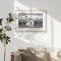 PNP060W040