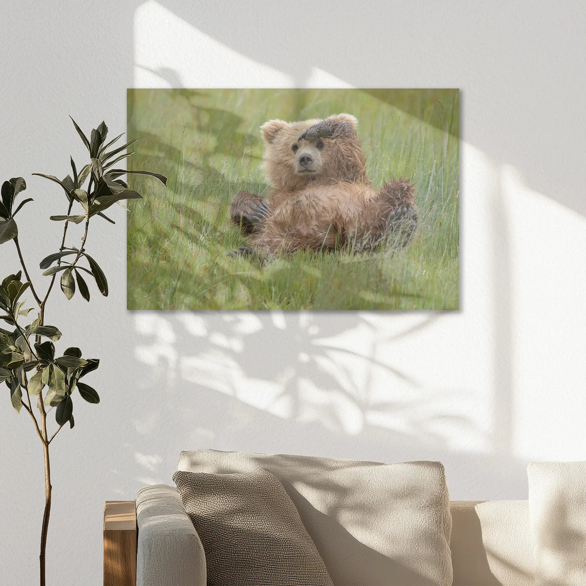 AL-075W050