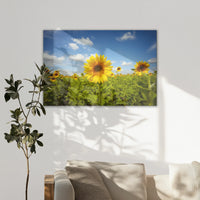 LW-120W080