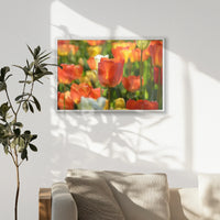 PW-093W062