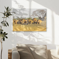 AC-030W020