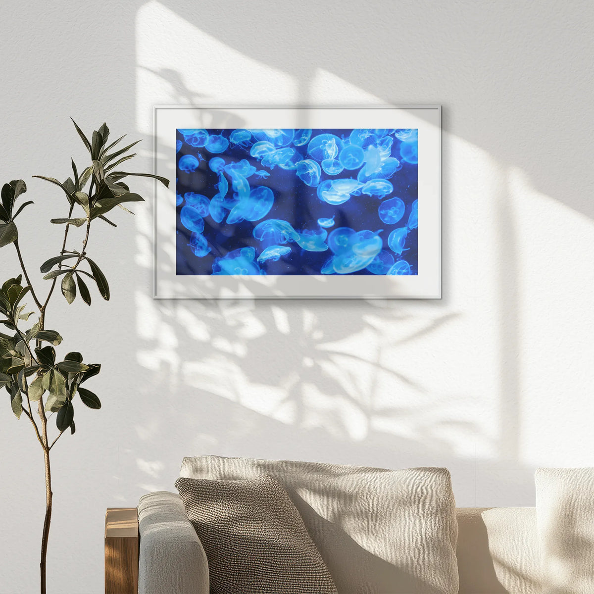 PSP093W062