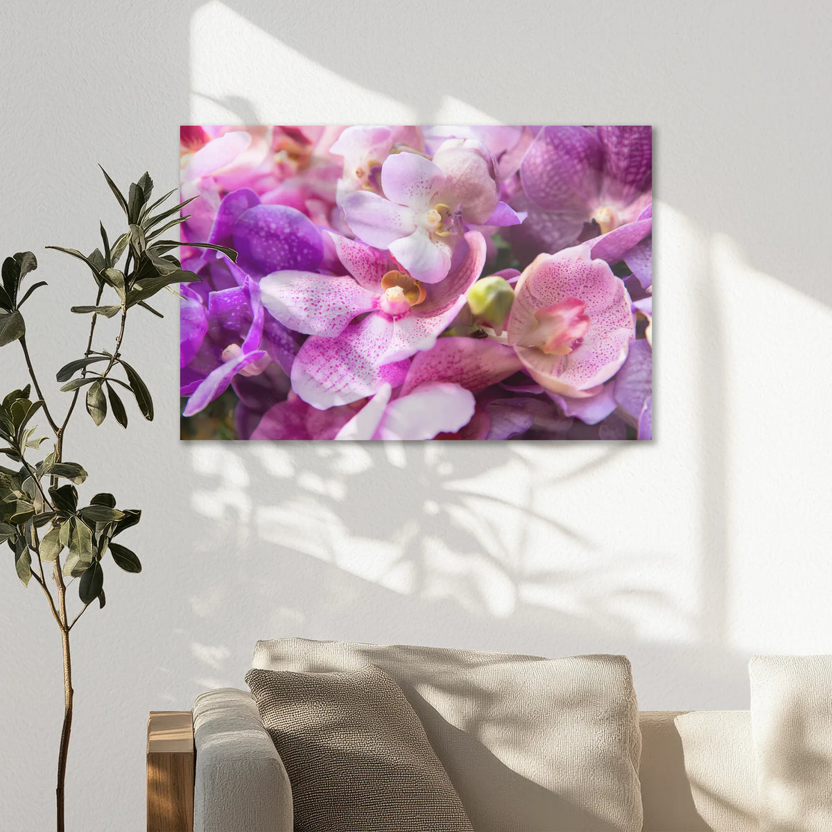 AC-075W050