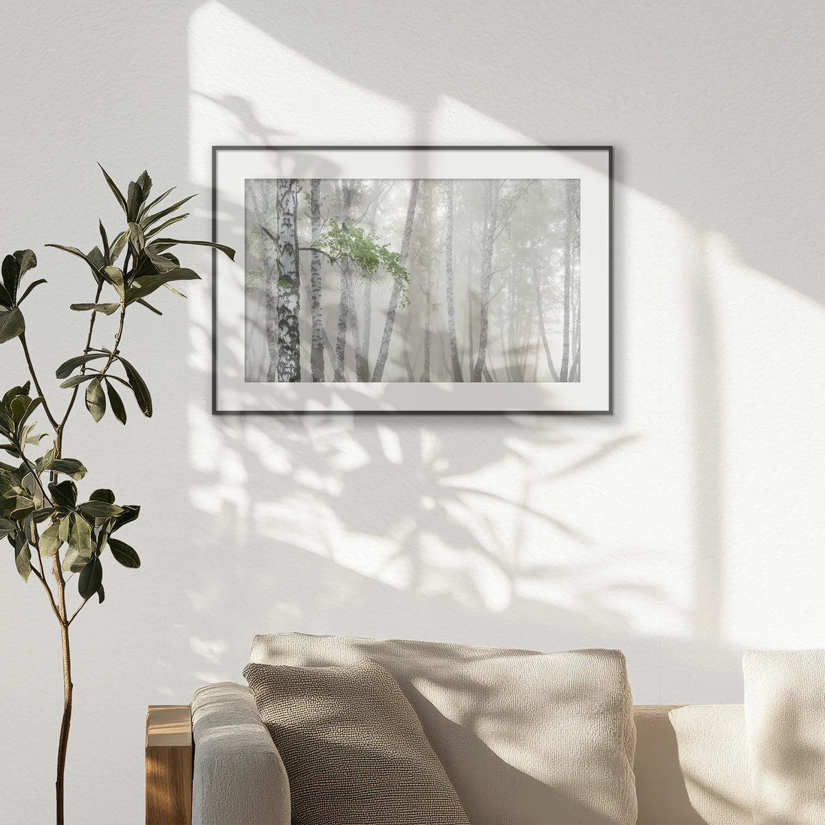 PBP093W062