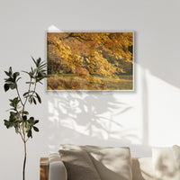 PN-100W070