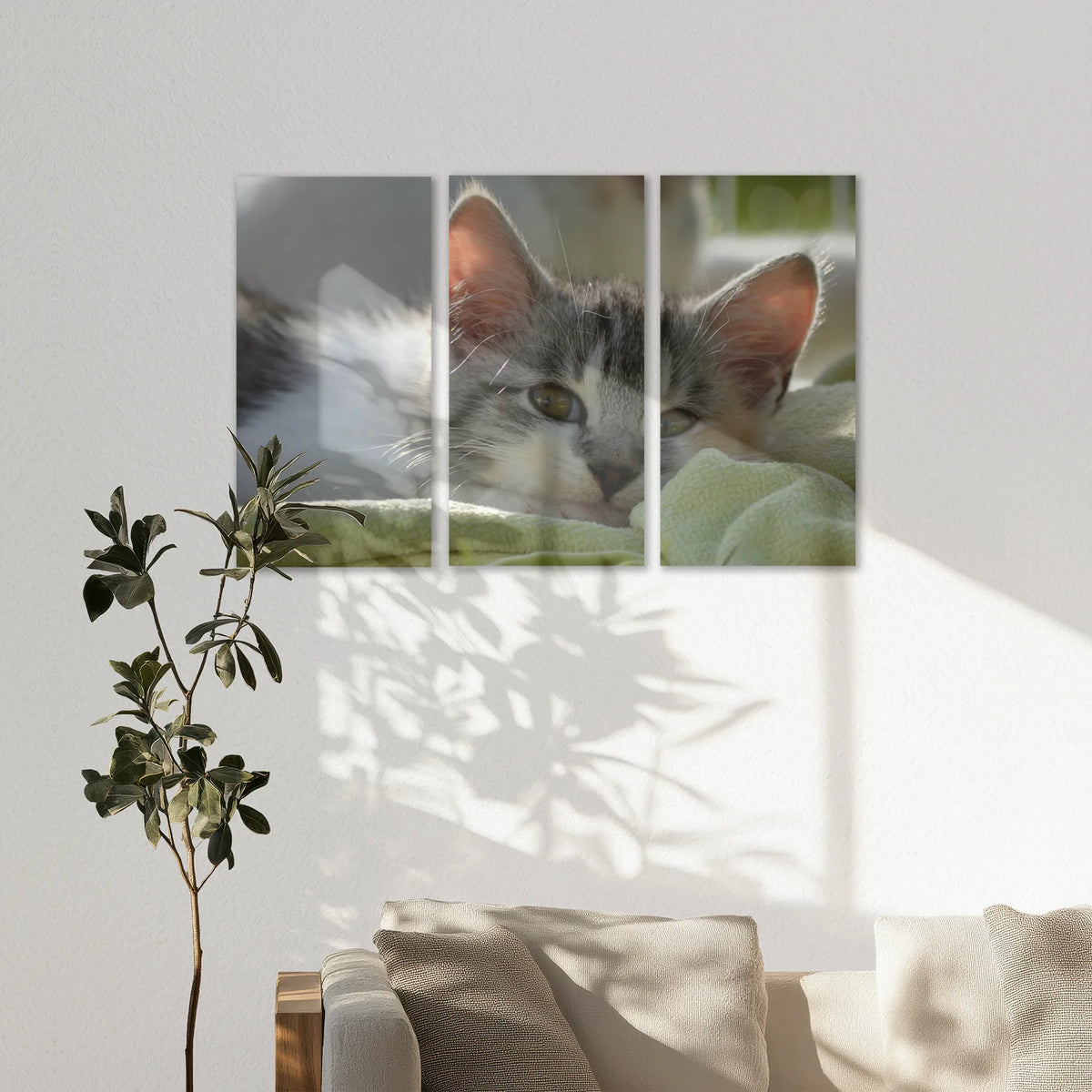 AC-150R100