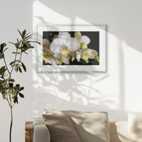PSP060W040