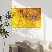 AL-075W050