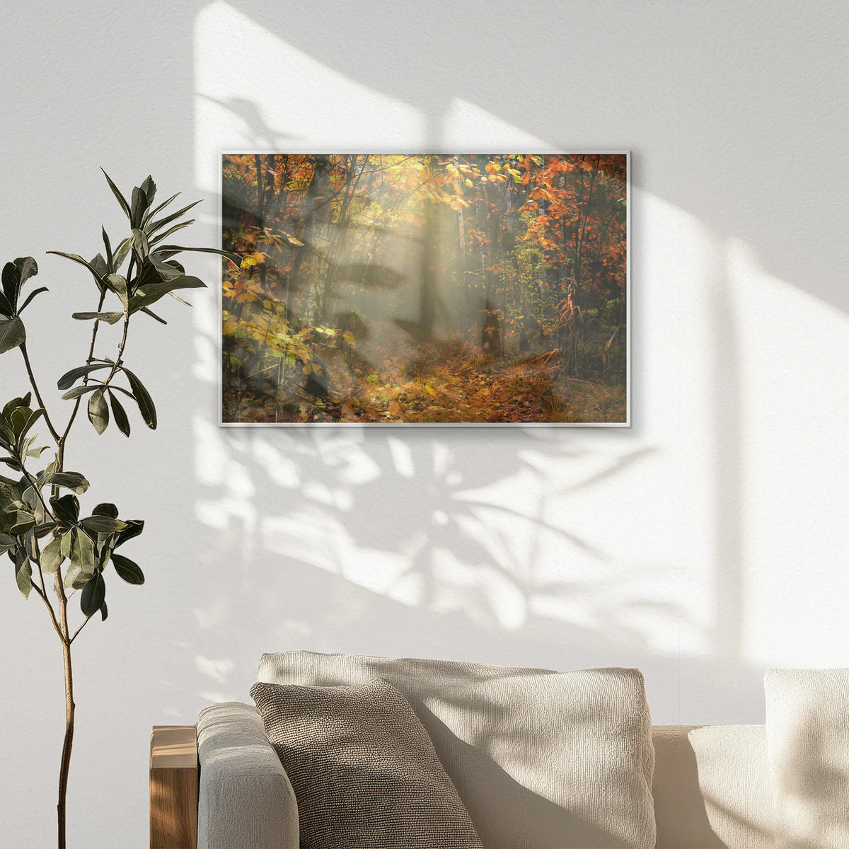 PS-093W062
