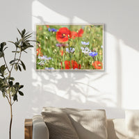 PN-093W062