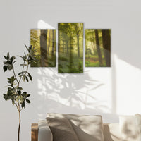 LW-120T080