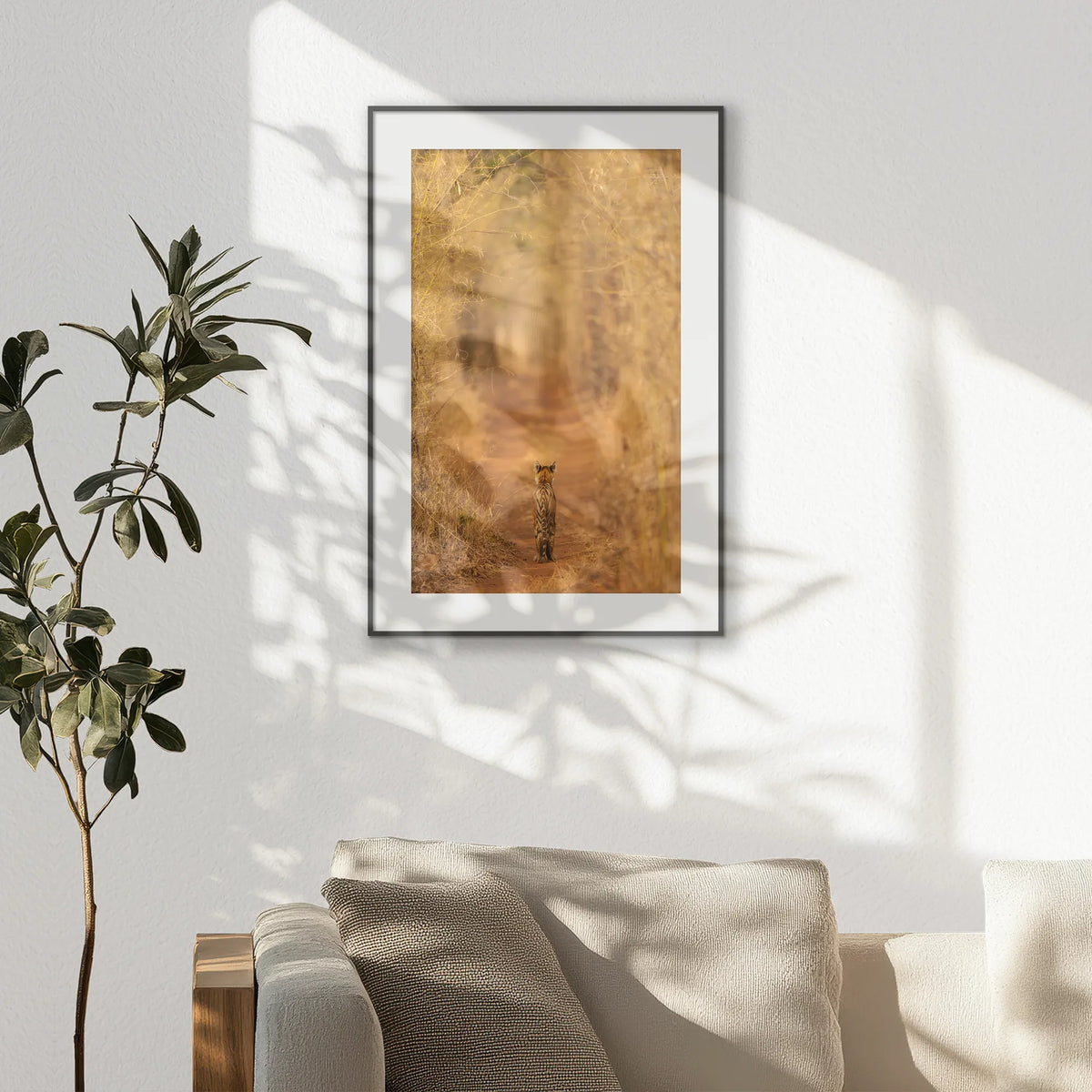 PBP062W093