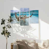 AC-120T080
