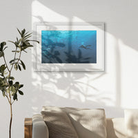 PWP060W040