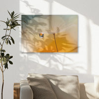 AC-030W020