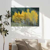 PO-090W060