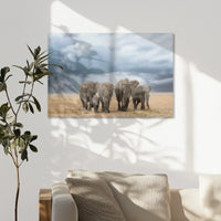 AC-075W050