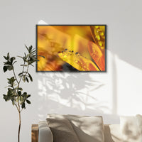 LWB100W070