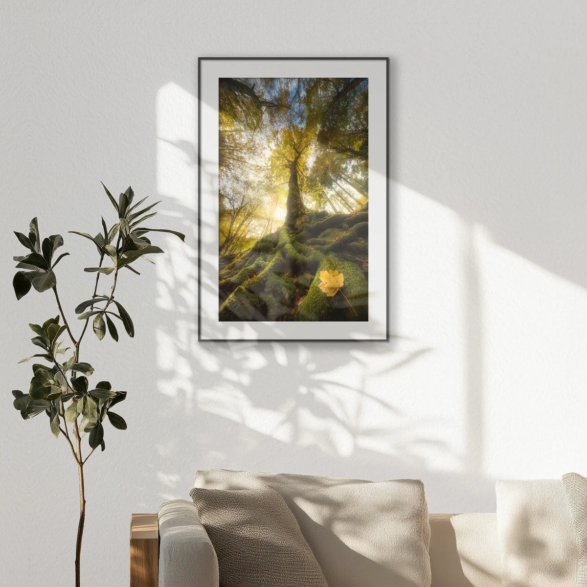 PBP070W100
