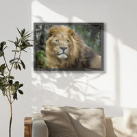 LWB060W040