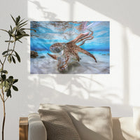 PO-045W030