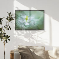 PK-093W062