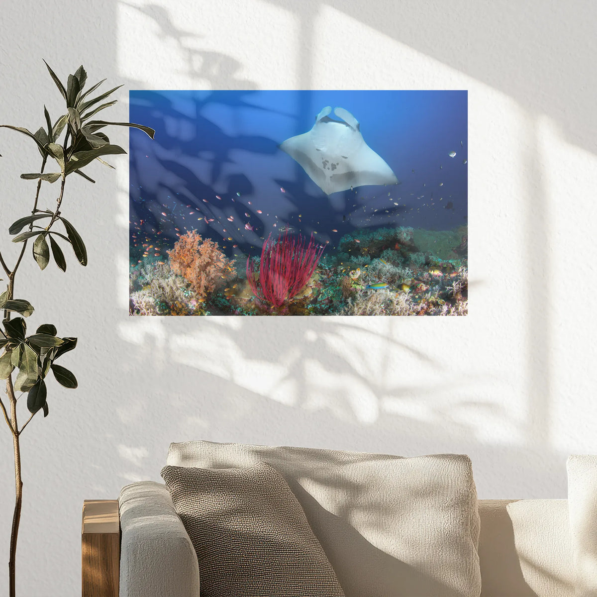 PO-045W030