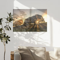 PO-075W050