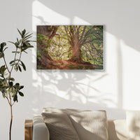PS-093W062