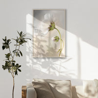 PN-070W100