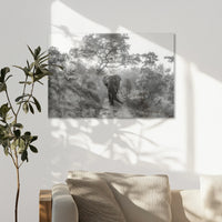 AC-075W050