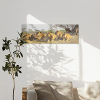 AC-120P040