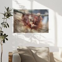 PO-030W020