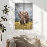 AC-020W030